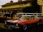 Plymouth Fury Custom Hardtop Coupe 1975 года
